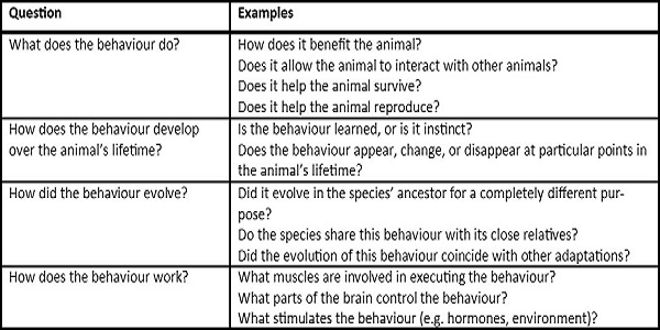 Image 5-four questions
