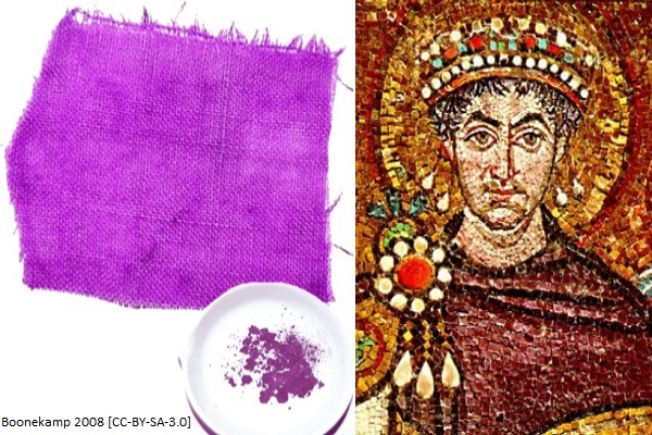 Dog whelk article image 3