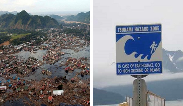 Mangrove blog article image 3