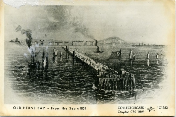 shipworm article image 2