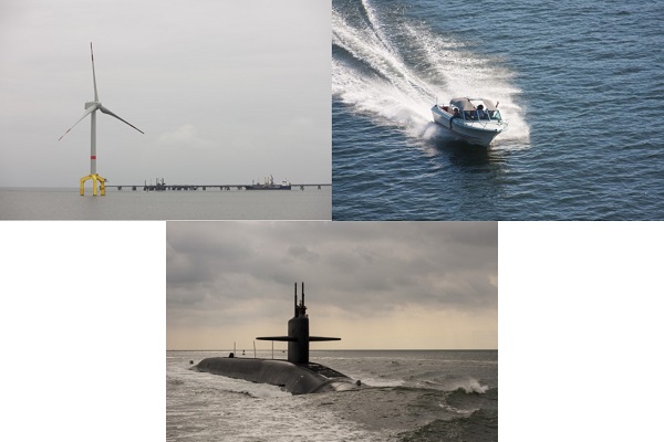 Orca article image 3.jpg