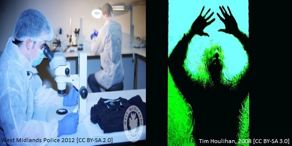 Diatom article image 4