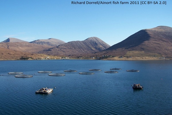 bryozoan blog image 5