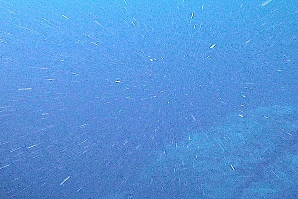 Marine snow article image 1